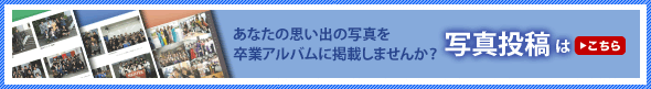 投稿写真